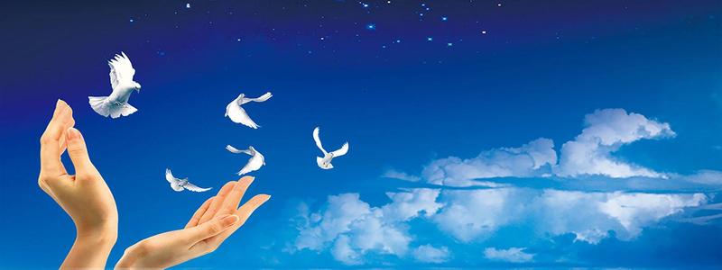 深圳網(wǎng)站建設(shè)